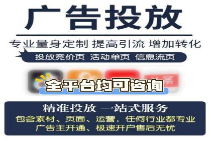 某某企业SEM营销案例：从SEM到全渠道营销的转型之路